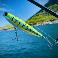 IMA Pugachev Cobra 90 Lures
